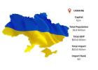 Ukraine Import Data for Accurate Market Analysis