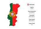 Portugal Import Data for Clear and Actionable Trade Analysis