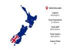 New Zealand Import Data for Smarter Sourcing Decisions