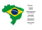 Brazil Export Data for In-Depth Market Intelligence