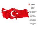 Turkey Import Data for Practical Trade Evaluation