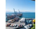 Clear Your Goods Faster with Expert Customs Clearance NZ