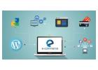 Ecommerce Development Services in Jaipur