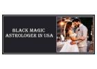 Black Magic Astrologer in Colorado