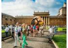 Find exclusively tailored tour of the Vatican City with well-renowned landmarks
