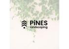 The Best Landscaping Services in Dubai: What Pines Landscaping Does Differently