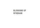 Same Day Flower Delivery Truganina - Blossoms of Wyndham