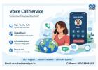 Professional Voice Call Service to Grow Your Business