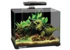 Trusted Online Aquarium Store Australia – Oasis Aquariums