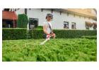 Trusted Hedge Trimming Services Auckland by Nextmow