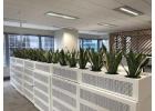 Professional Office Plant Hire Melbourne for Stylish Workspaces