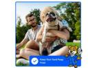 Dog poop yard cleaning service near me