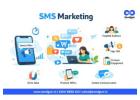 Send Bulk SMS to Thousands of Customers Instantly