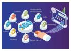 Professional SEO Services in Delhi NCR - DigitalBerge