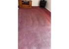 Book weekly, fortnightly, and monthly services for Commercial carpet cleaning Adelaide