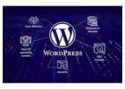 Invoidea is a Top WordPress development company in India for scalable website solutions