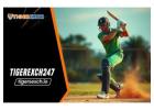 Tiger Exchange 247: Play live casino at Tiger Exchange 247