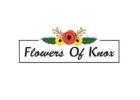 Same Day Flower Delivery Wantirna south