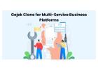 Gojek Clone for Multi-Service Business Platforms