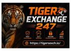 Tiger Exchange 247: Login, Tiger Exchange 247,  play cricket online