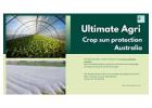 Crop sun protection