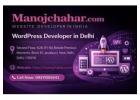 Best WordPress Developer in Delhi for Business Websites