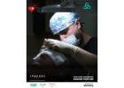 Hair Transplant Clinic in Turkey Offering Patient-Centered Hair Loss Solutions