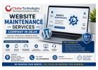 Reliable Website Maintenance Services Company in Delhi for Business Growth