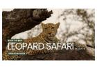 Book Best Leopard Safari in Jaipur for Wildlife Adventure