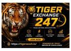 Tiger Exchange 247: Get the most out of Tiger Exchange 247