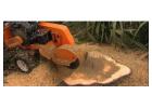 Large Stump Removal Sydney | Ben's Tree and Garden Services