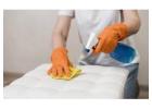 Improve the lifespan of rugs with sustainable and holistic Rug Cleaning Adelaide