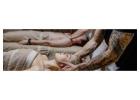 Derive our hands-on practical course to become Hawaiian Healers Oahu