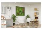 Plantas Liofilizadas