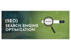 Best Search Engine Optimization in India for Business Growth