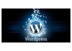 Invoidea is a Best WordPress Development Services Provider in India
