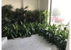 Best Corporate Plant Hire Solutions for Businesses