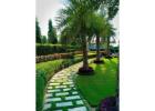 Salt Lake City Landscape