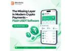 The Missing Layer in Modern Crypto Payments – Flash USDT Software