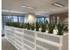 Freestanding Pots for Indoor Plants and Office Spaces